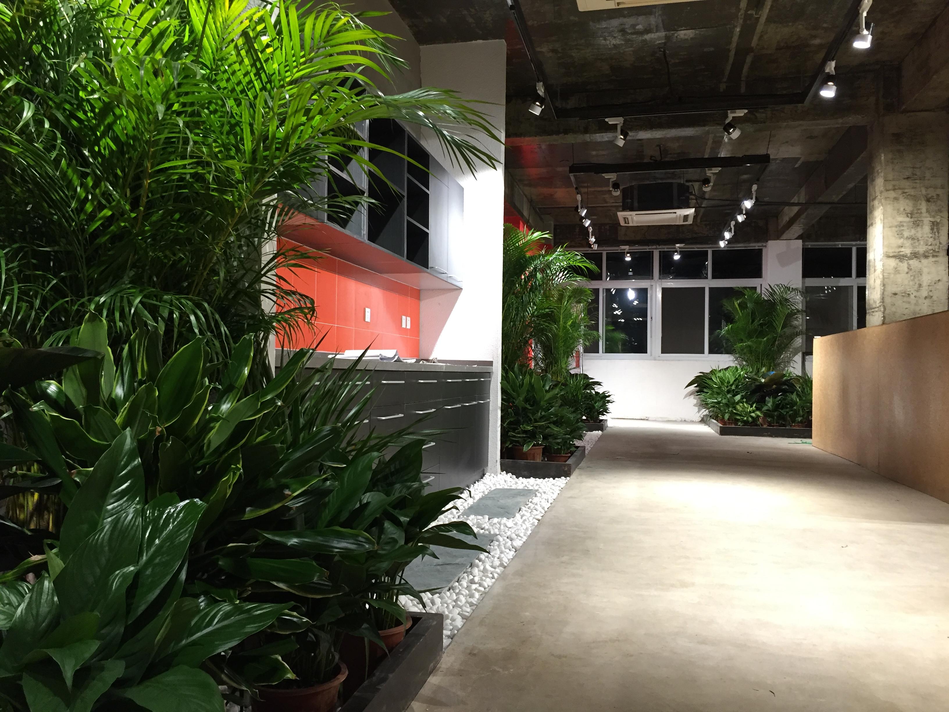 展厅设计之绿化布置