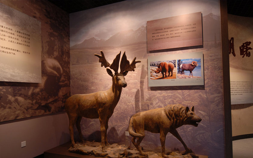 博物馆设计与施工