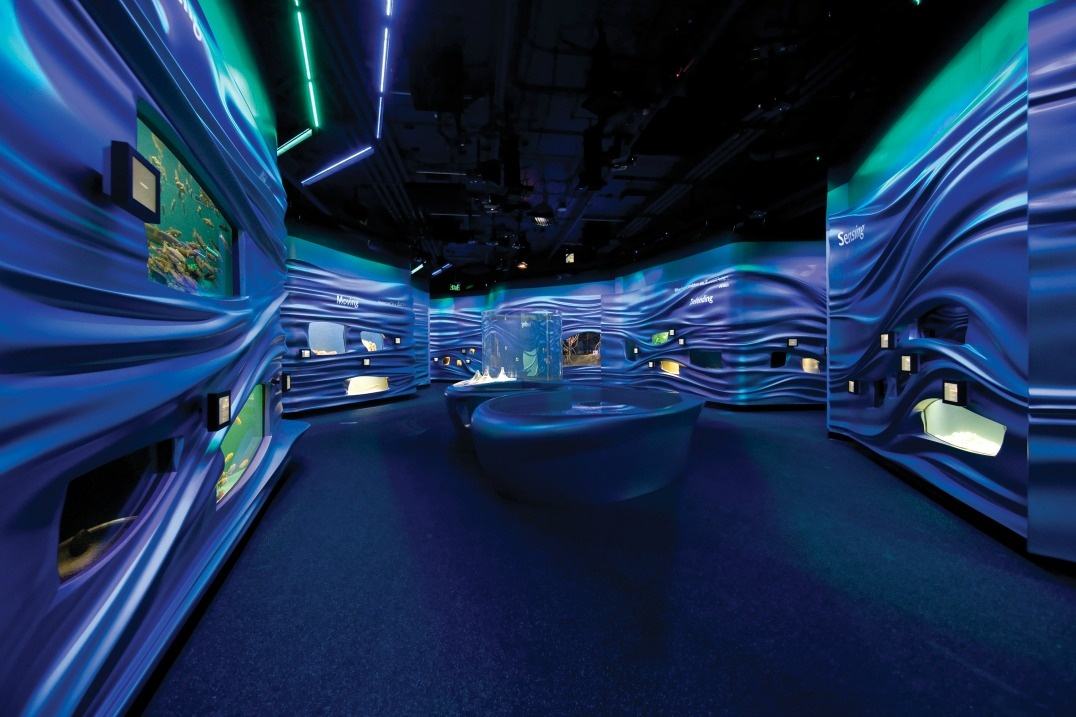 水族馆展厅设计分析